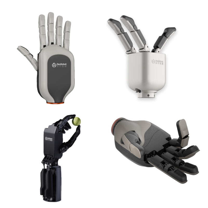 DexRobot DexHand021 MP Dexterous Hand for Humanoid Robots and Advanced ...