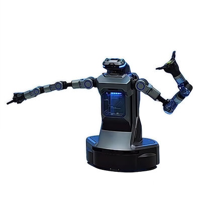 Autonomous Navigation AI Robot China Humaniod Reception Robot Adaptive ...