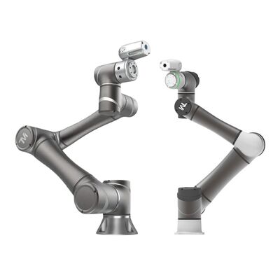 Techman TM Cobot Palletizer Collaborative Robot for Automated Carton ...